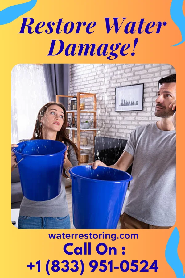 water restoration Peak Sewage Cleanup Masters Melville