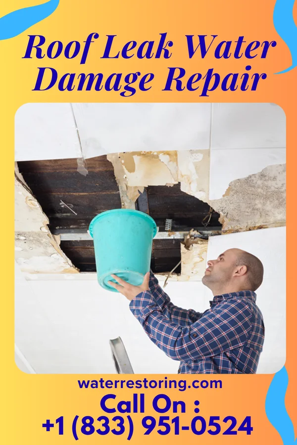 Roof Leak Water Damage Repair in Melville, LA
